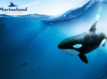 marineland