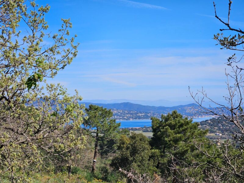 Parc Montana - Sentier Gassin 1