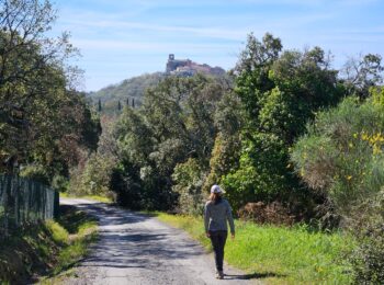 Parc Montana - Sentier Gassin 2