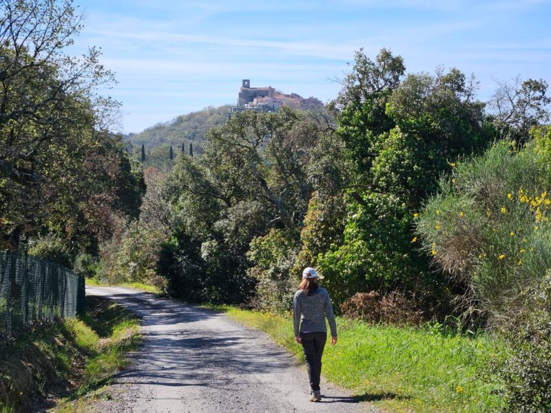 Parc Montana - Sentier Gassin 2