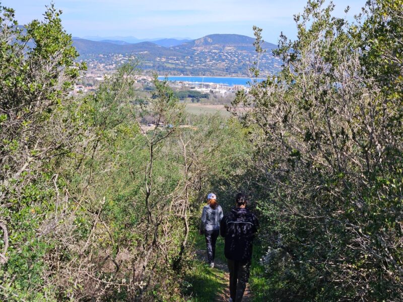 Parc Montana - Sentier Gassin 3