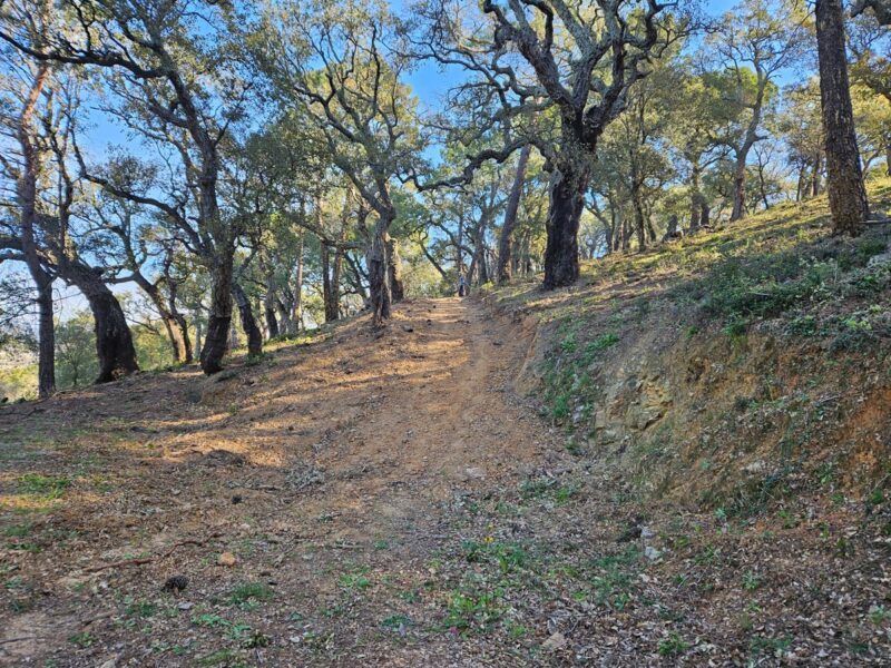 Parc Montana - Sentier Gassin 5