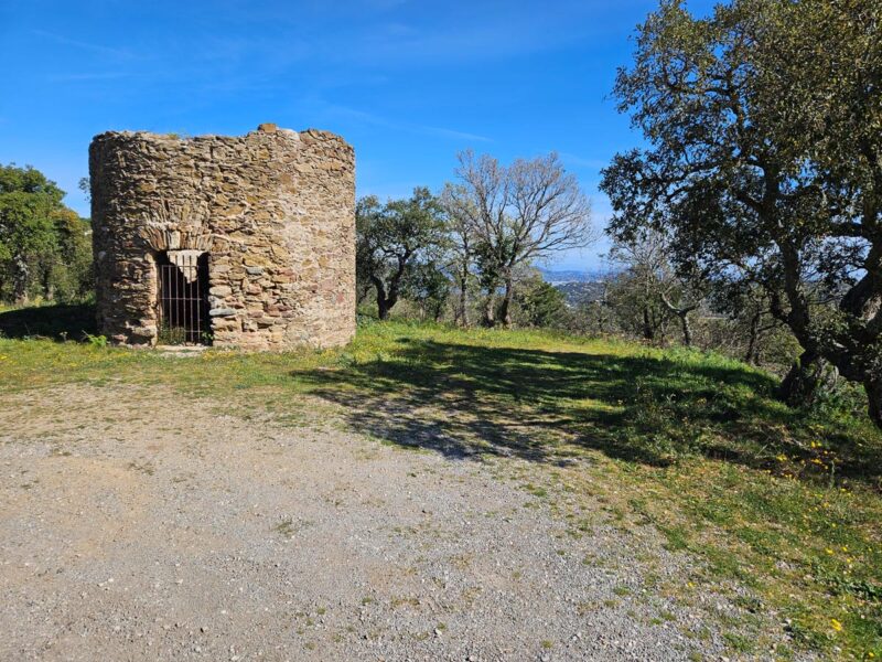 Parc Montana - Sentier Gassin 6