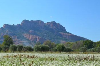 rocher roquebrune